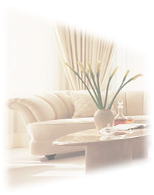 �j���[���[�N�@�����^���Ƌ�̃R�[�V��