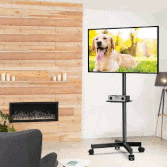 �j���[���[�N�@�����^���Ƌ�̃R�[�V���@�e���r��